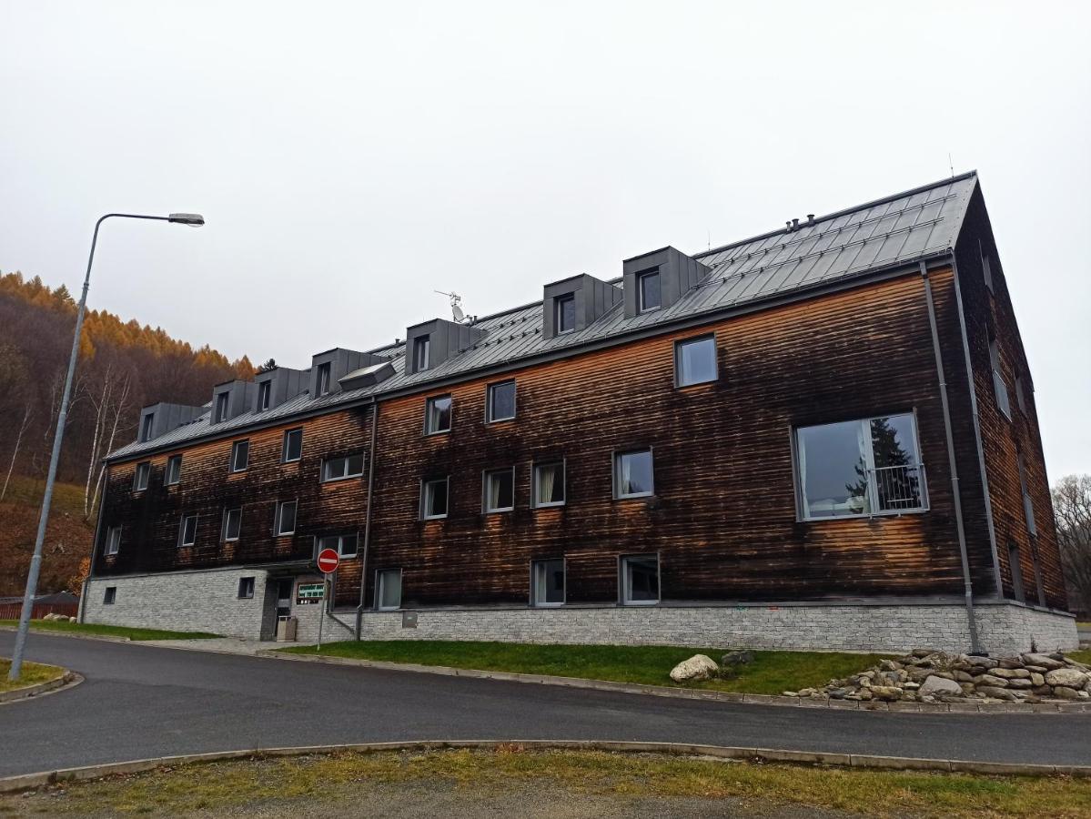 Апартаменти Mezonetovy Apartman Kouty Nad Desnou Лоучна-над-Десноу Екстер'єр фото