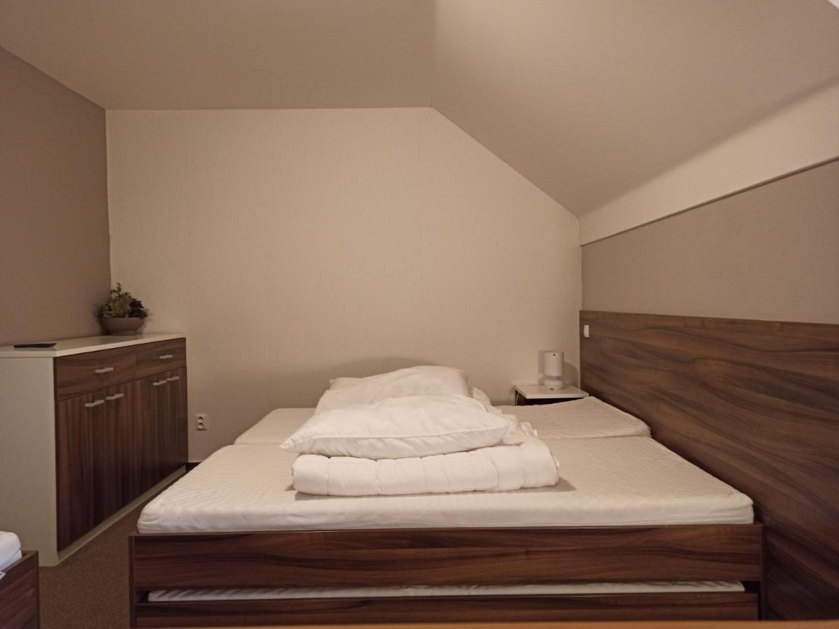 Апартаменти Mezonetovy Apartman Kouty Nad Desnou Лоучна-над-Десноу Екстер'єр фото